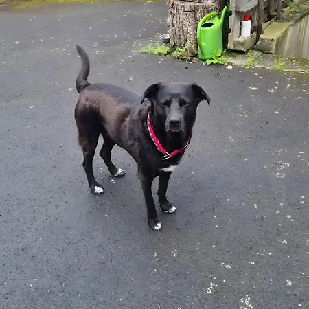 Casa-sarah アパート *