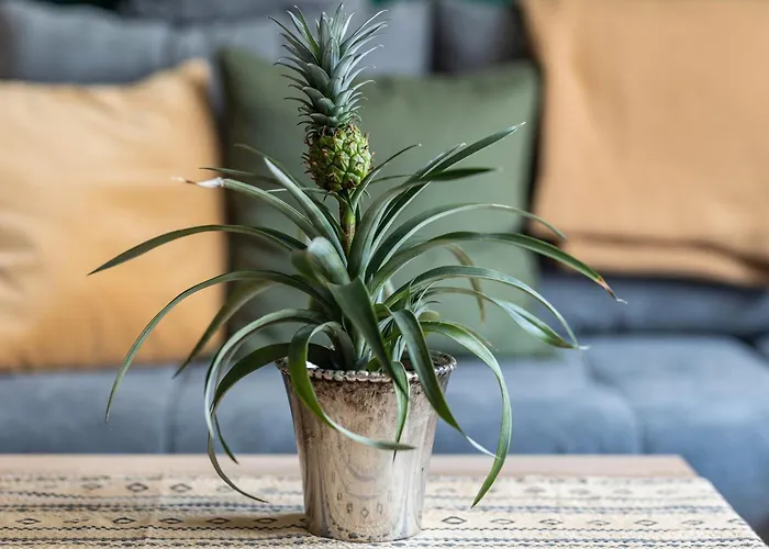 Casa-sarah Apartment *