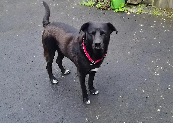 Casa-sarah Apartment *